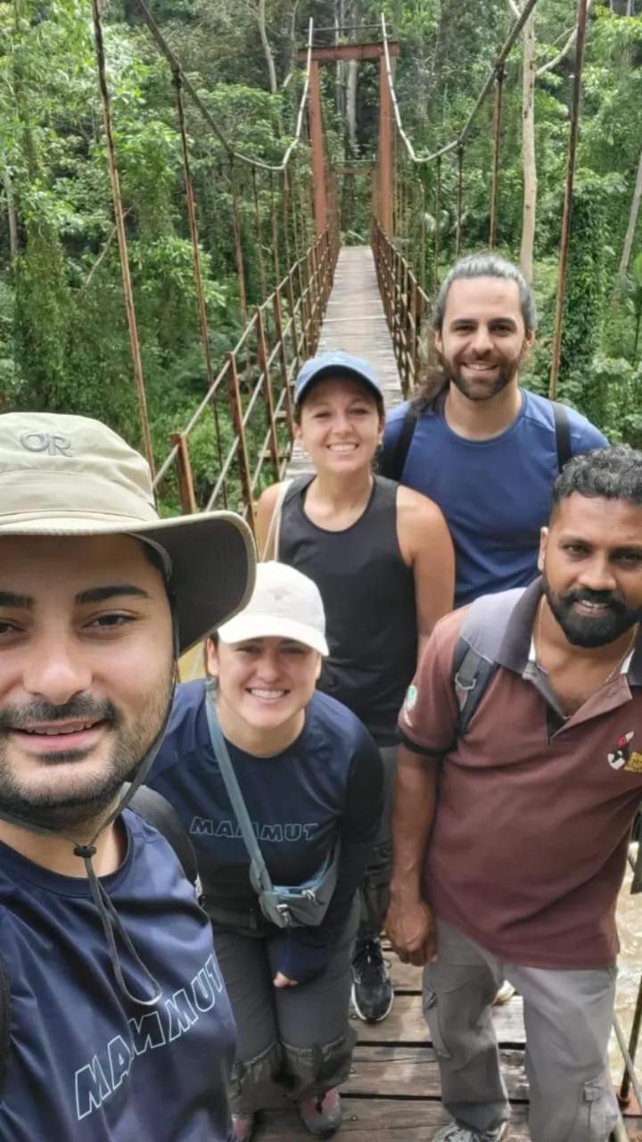 Rainforest Nest دينيايا المظهر الخارجي الصورة